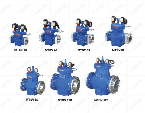 MTSV-480x374  